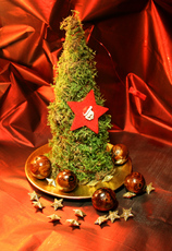5-Weihnachtsmotive 075.jpg